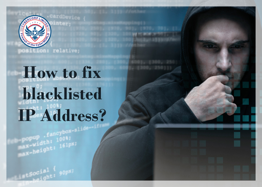 Understanding IP Blacklists: Safeguarding Your Online Space